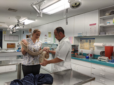 Community Animal Hospital