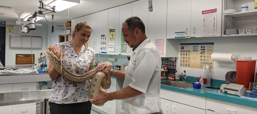Community Animal Hospital