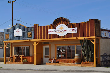Companion Animal Clinic