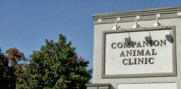 Companion Animal Clinic