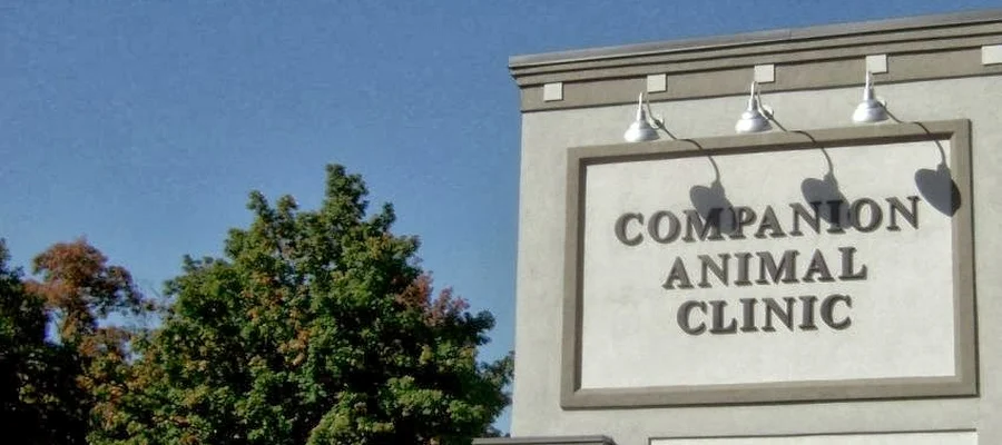 Companion Animal Clinic