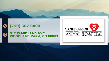Compassion Animal Hospital