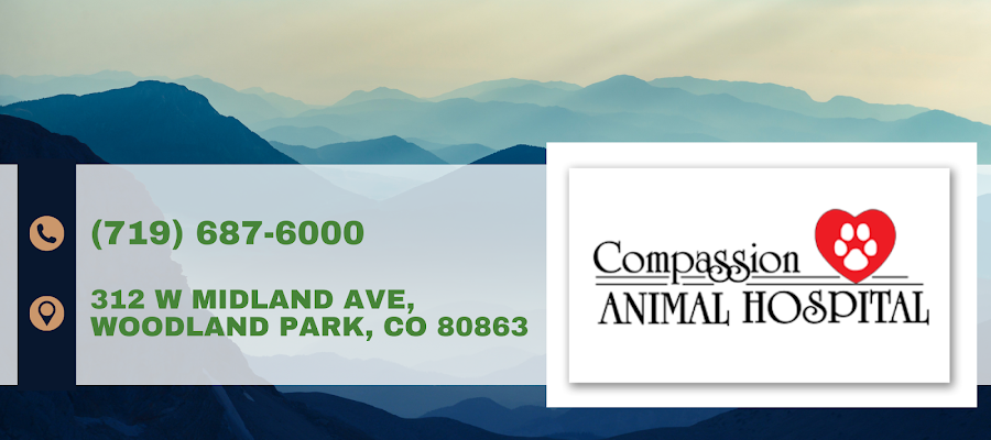 Compassion Animal Hospital