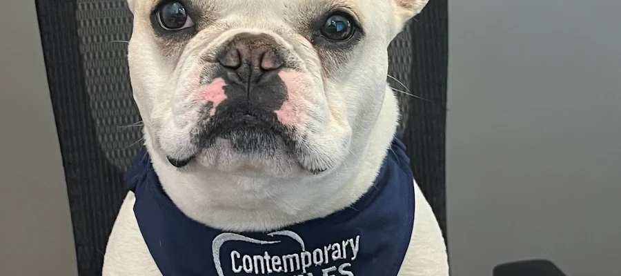 Contemporary Smiles