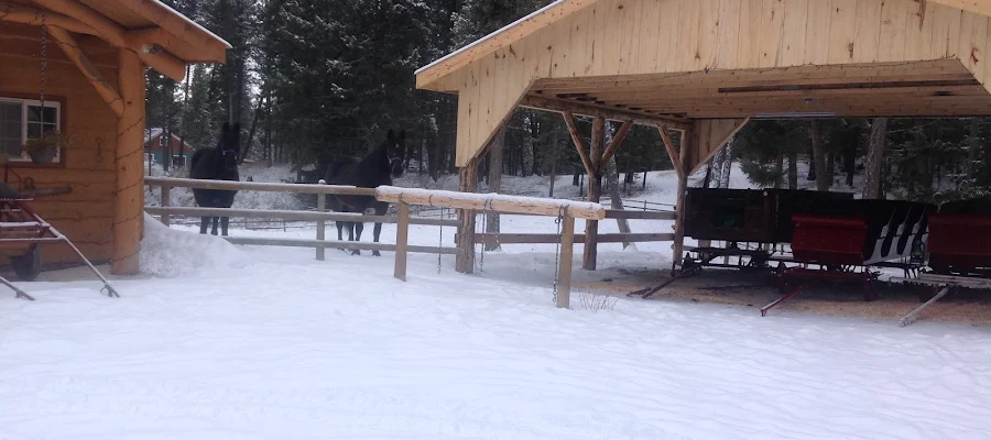 Cripple Creek Horse Ranch