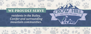 Crow Hill Veterinary Hospital