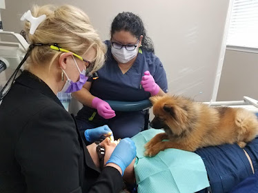 Crown Dentistry