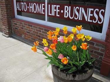 Curtis Insurance Agency-America One