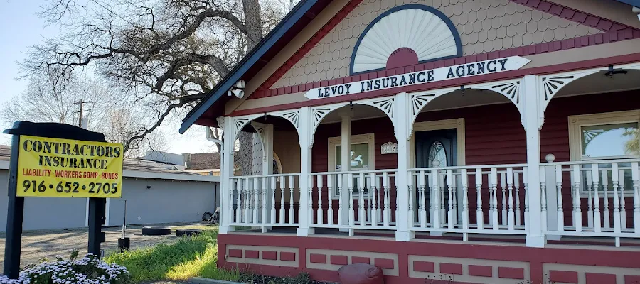 David Levoy Insurance Agency Inc.