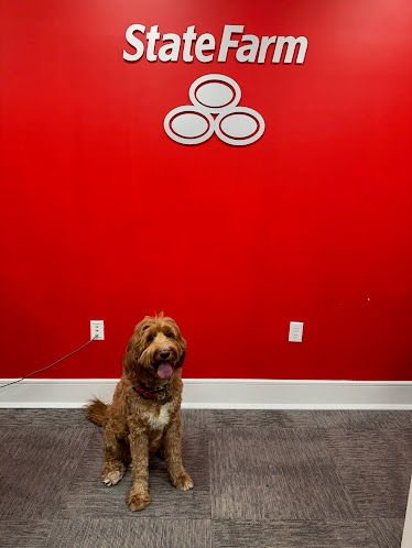 David Roy - State Farm Insurance Agent