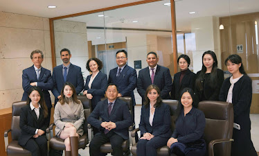 Demidchik Law Firm 安娜律师楼 (San Jose)