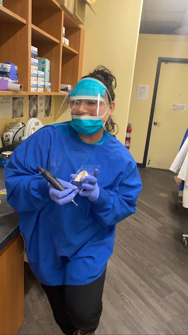 Dental Specialties of Springfield