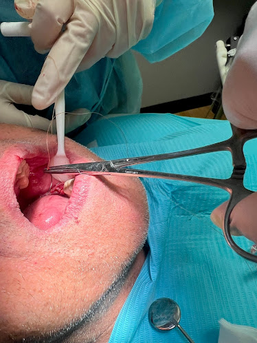 Dentistry Blossom