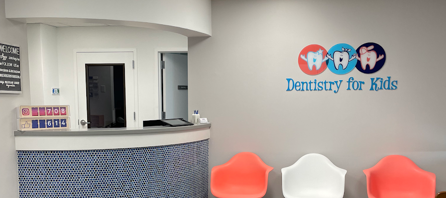 Dentistry for Kids, Amy Waxman DMD & Lisa Honig, DDS