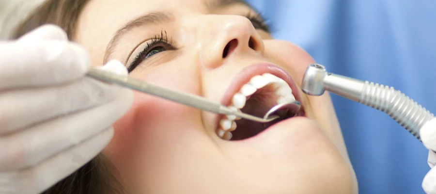 Dentistry In the Pines