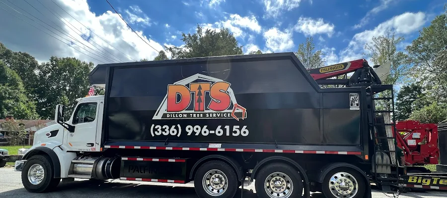 Dillon Tree Service