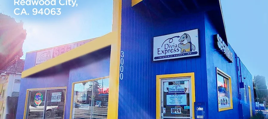 Divia Express Insurance Agency, Inc.