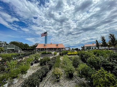 Doctor's Lawn and Landscape