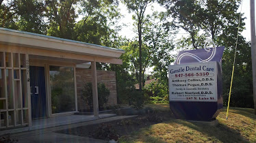 Dr Anthony Collins DDS