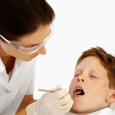 Dr. Danute E Abriani DDS