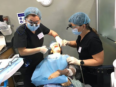 Dr. Fariba Farrokhi, DMD