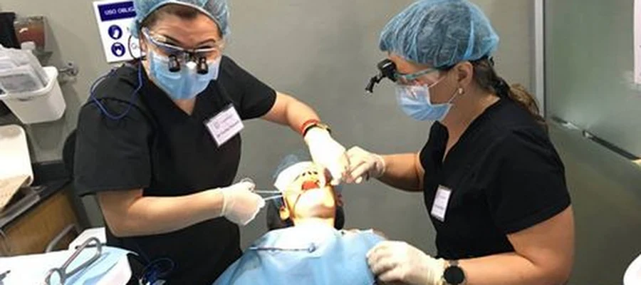 Dr. Fariba Farrokhi, DMD