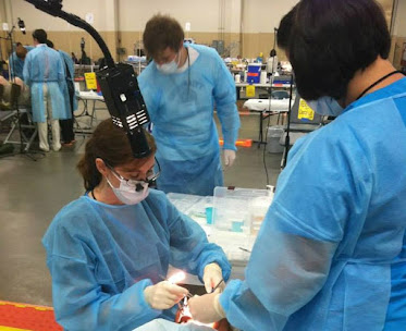 Dr. Kimberly W. Pryzgoda, DDS