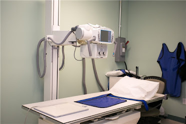 Dr. Nathaniel Sutain, MD