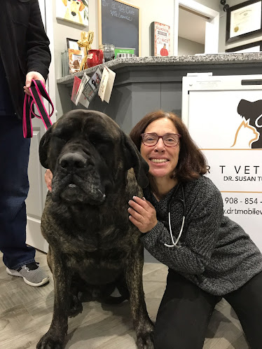 Dr. T Vet Care​ ​