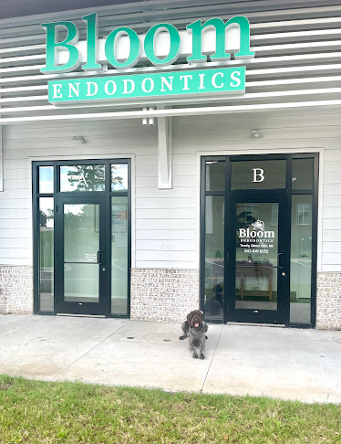 Dr. Timothy Gibson, DDS, MS