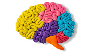 Dr. Vargas Lowy Child Neurology