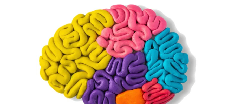 Dr. Vargas Lowy Child Neurology
