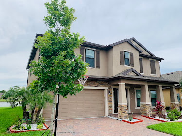 Dream Realty