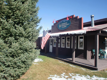 Driggs Veterinary Clinic