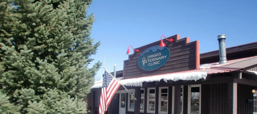 Driggs Veterinary Clinic