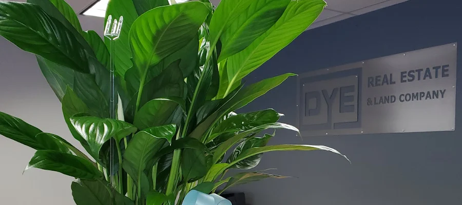 Dye Real Estate and Land Company