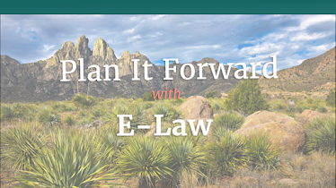 E-Law P.C.