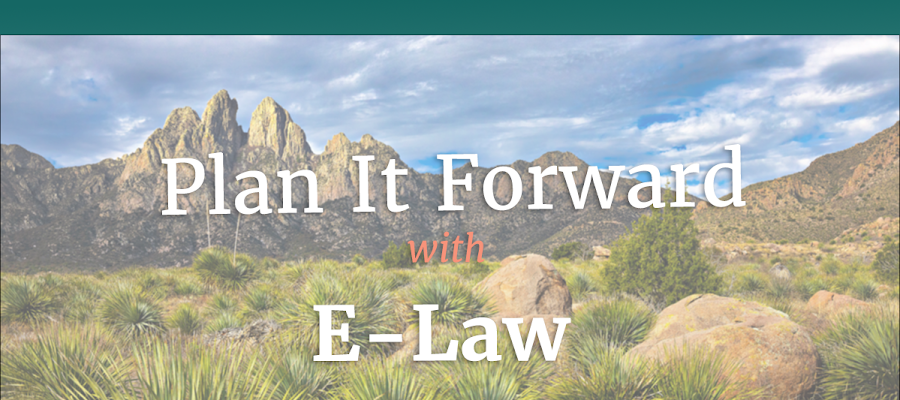 E-Law P.C.
