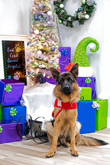 East Coast Animal Hospital