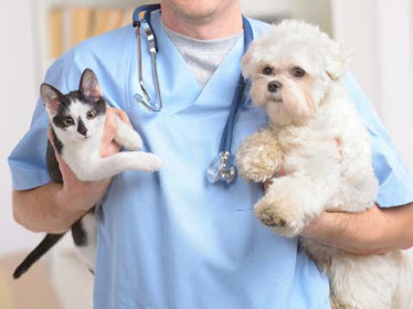 Eastside Veterinary Hospital