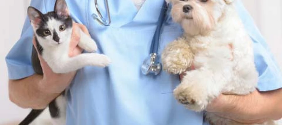 Eastside Veterinary Hospital