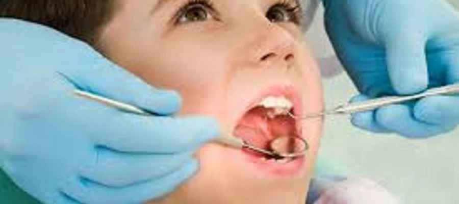 Elegant Dental Sugar Land