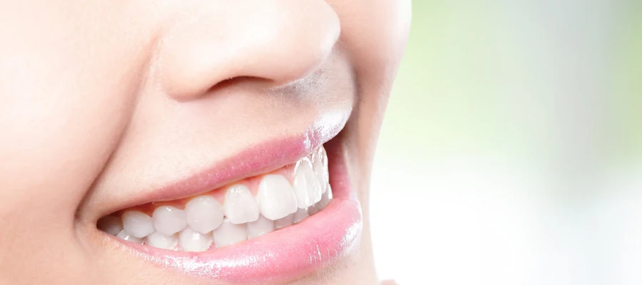 Elite Dentistry