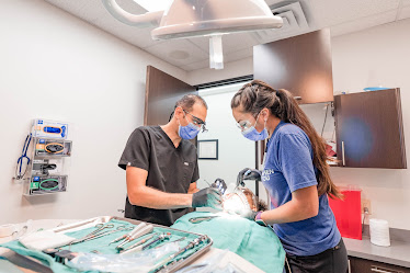 Elite Oral & Facial Surgery of Katy + Periodontology (formerly Katy Periodontology & Oral Surgery)