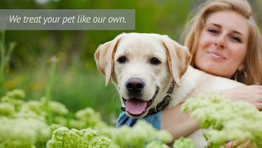 Elk Creek Animal Hospital