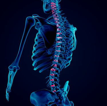 Emerald Coast Chiropractic