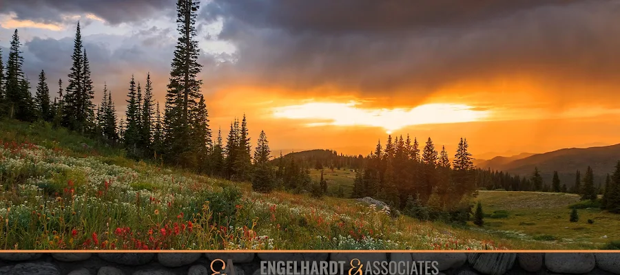 Engelhardt and Nelson Family Dentistry