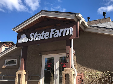 Erica Szymankowski - State Farm Insurance Agent