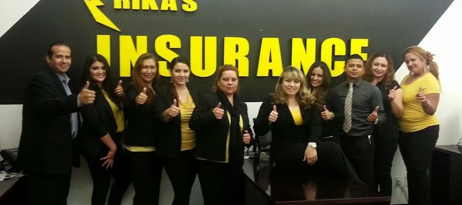 Erika's Insurance