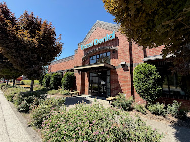 Excel Dental